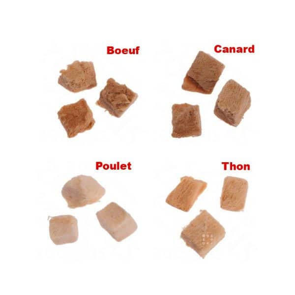 Calendrier de l'Avent Chat Cosma Snackies