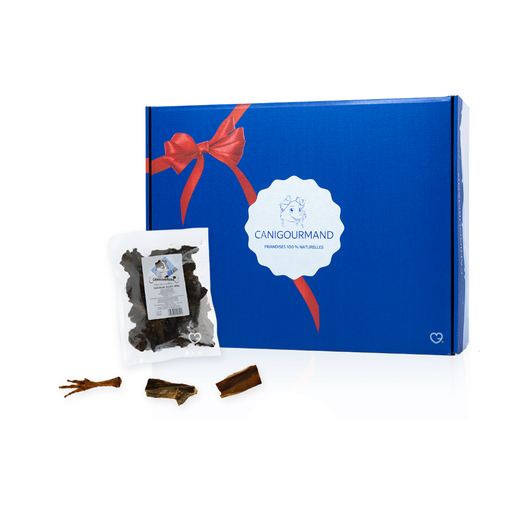 Calendrier de l'Avent CaniGourmand