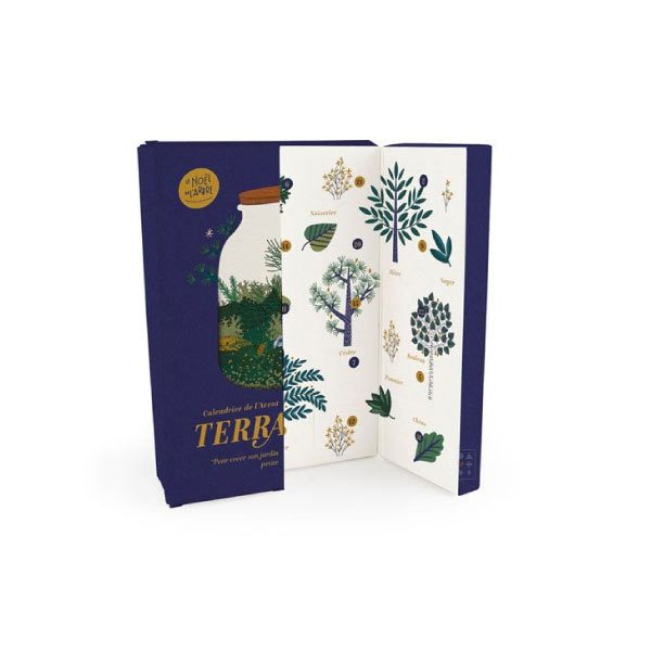 Calendrier de l'Avent Nature & Découvertes – Terrarium