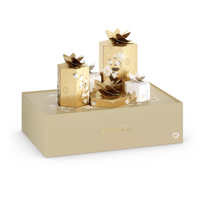 Calendrier de l’Avent Rituals Premium 2025 en coffret luxueux avec 5 trésors parfumés bien-être, cadeau raffiné idéal pour adultes, homme et femme.
