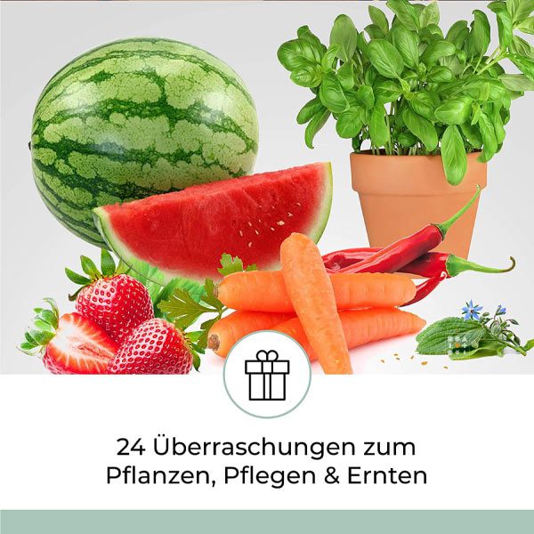 Calendrier de l'Avent Graines de Jardinier