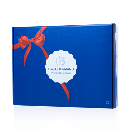 Calendrier de l’Avent pour chien 2025 caniGourmand avec 24 friandises naturelles en 8 saveurs, cadeau festif et gourmand pour chiens.